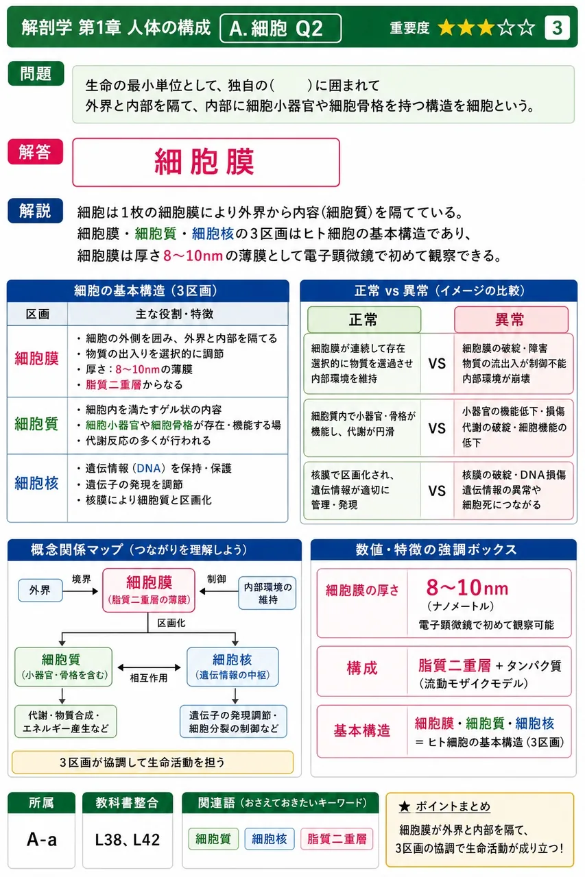 生命の最小単位として、独自の( )に囲まれて外界と内部を隔て、内部に細胞小器官や細胞骨格を持つ構造を細胞という。 解説図