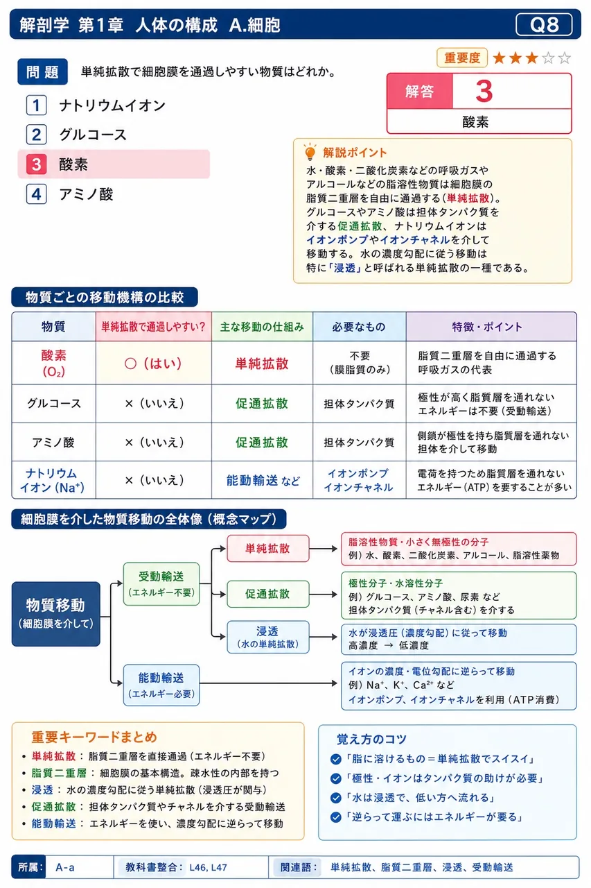 単純拡散で細胞膜を通過しやすい物質はどれか。 解説図