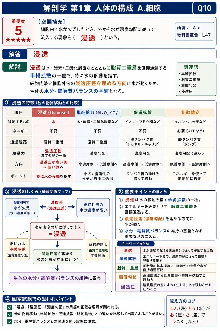 細胞内で水が欠乏したとき、外から水が濃度勾配に従って流入する現象を( )という。 解説図