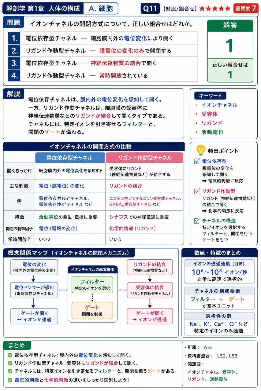 イオンチャネルの開閉方式について、正しい組合せはどれか。 解説図