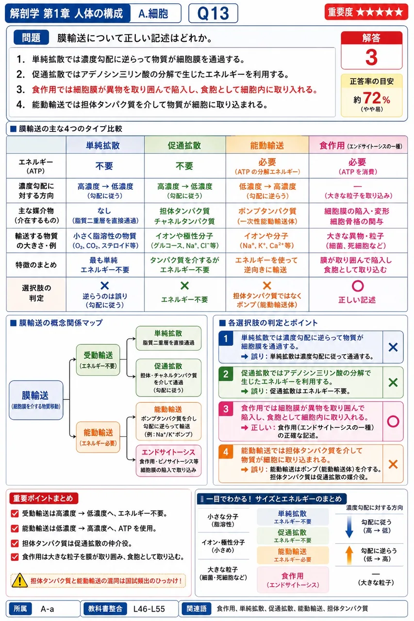 膜輸送について正しい記述はどれか。 解説図