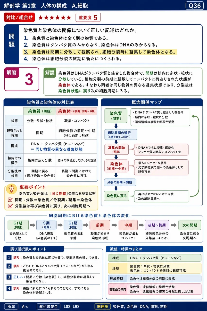 染色質と染色体の関係について正しい記述はどれか。 解説図