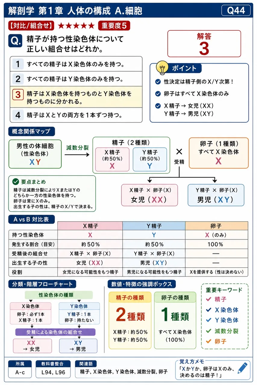 精子が持つ性染色体について正しい組合せはどれか。 解説図