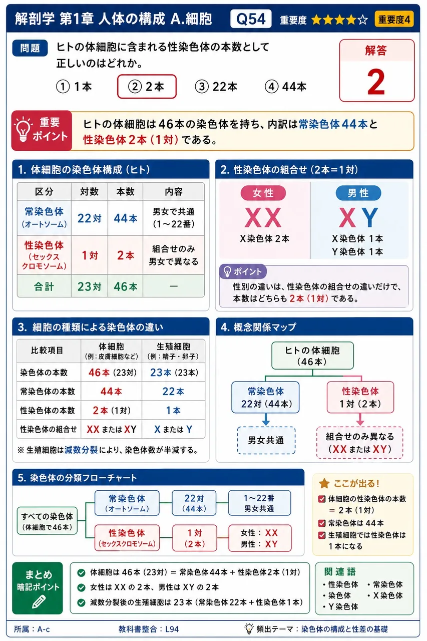 ヒトの体細胞に含まれる性染色体の本数として正しいのはどれか。 解説図