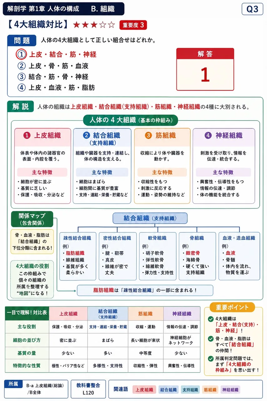 人体の4大組織として正しい組合せはどれか。 解説図