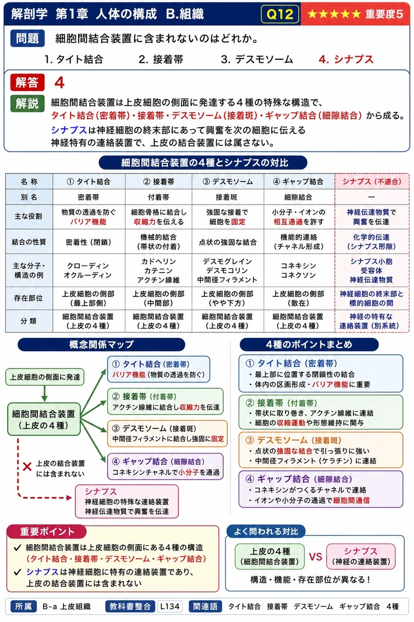 細胞間結合装置に含まれないのはどれか。 解説図