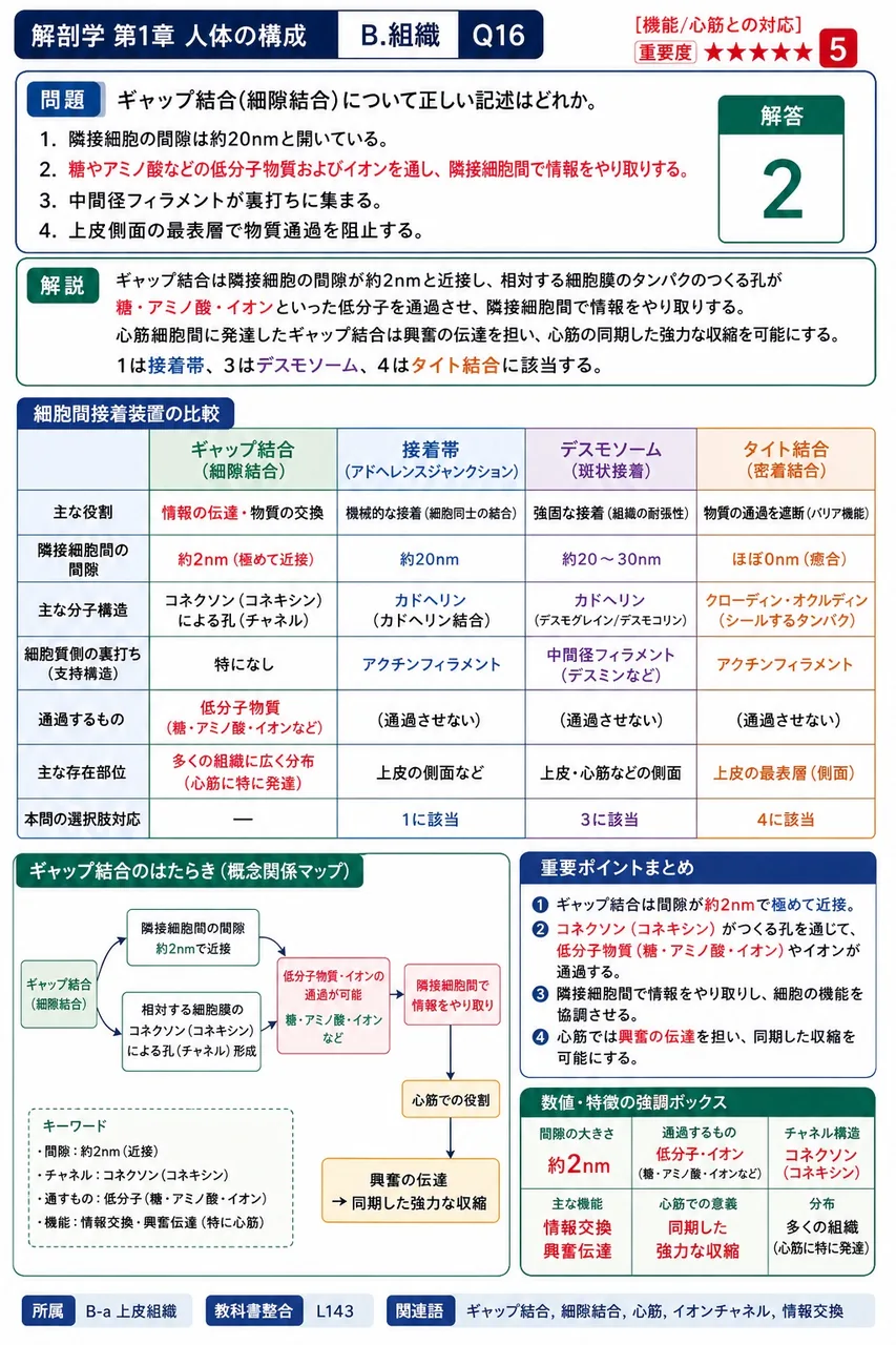 ギャップ結合(細隙結合)について正しい記述はどれか。 解説図