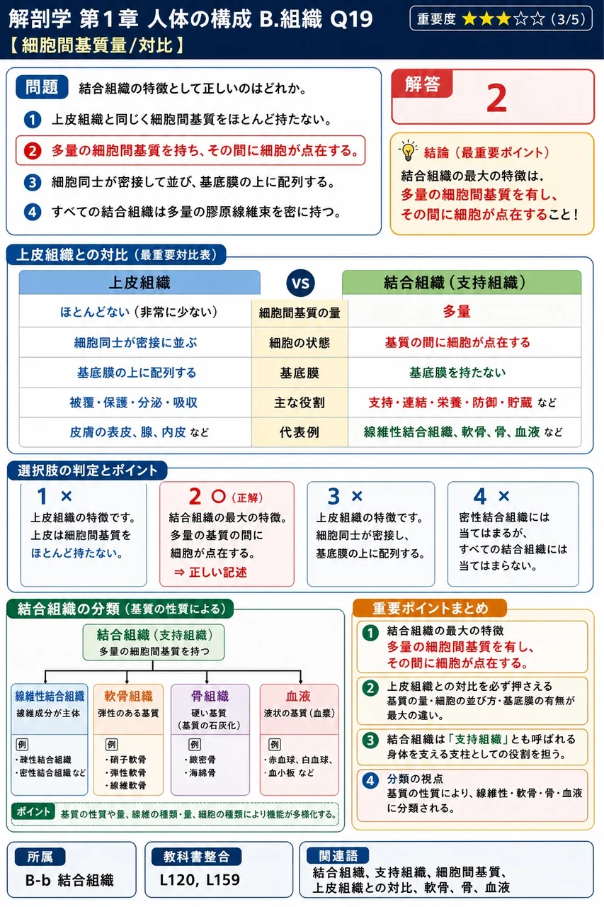 結合組織の特徴として正しいのはどれか。 解説図