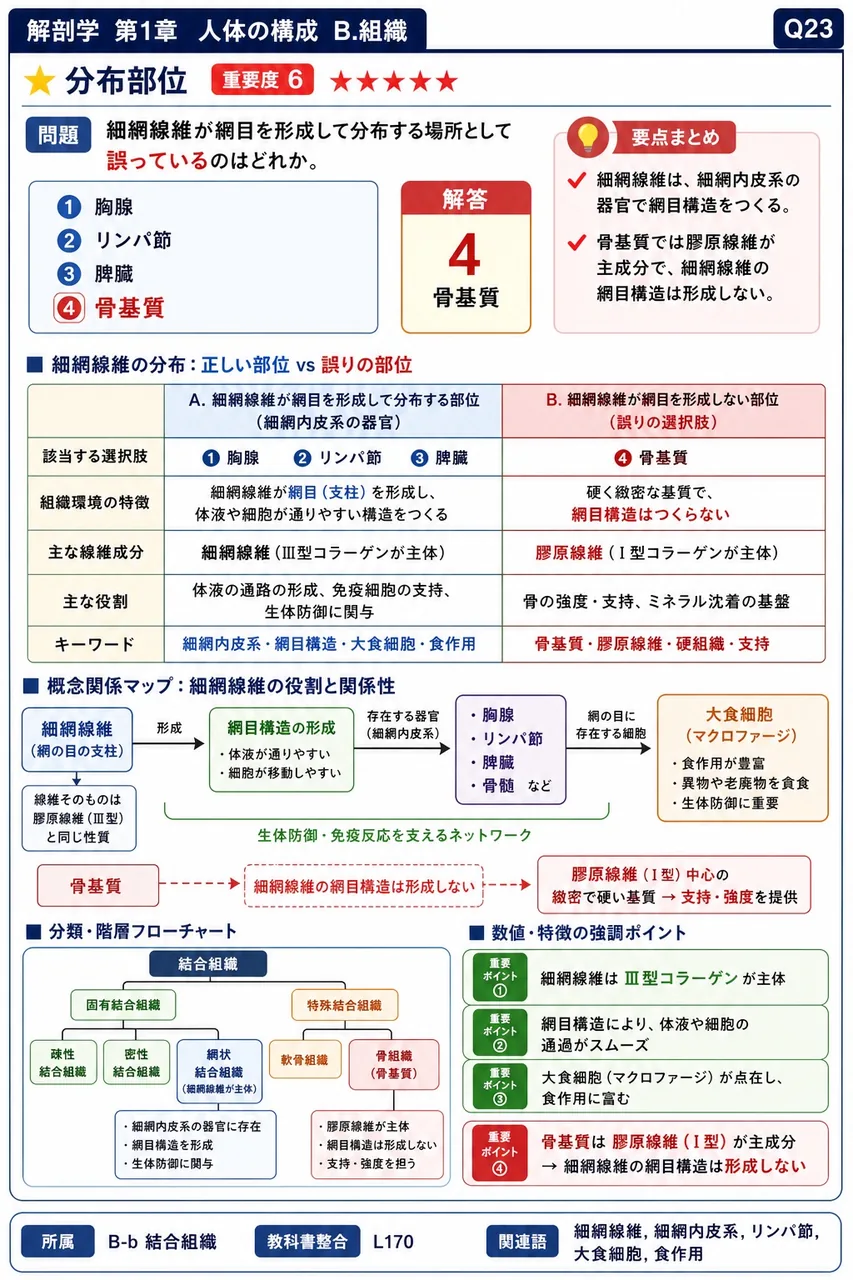 細網線維が網目を形成して分布する場所として誤っているのはどれか。 解説図