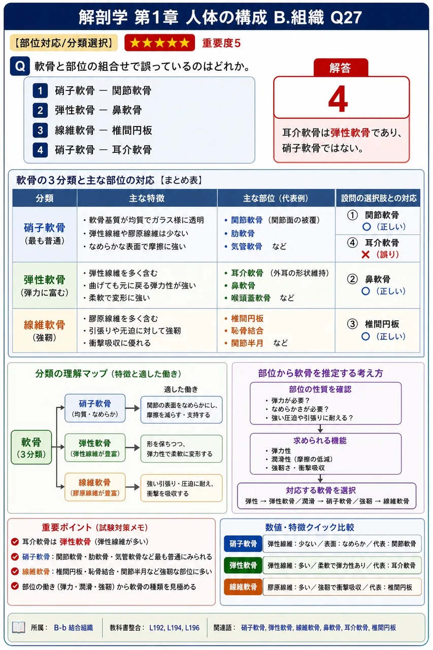 軟骨と部位の組合せで誤っているのはどれか。 解説図
