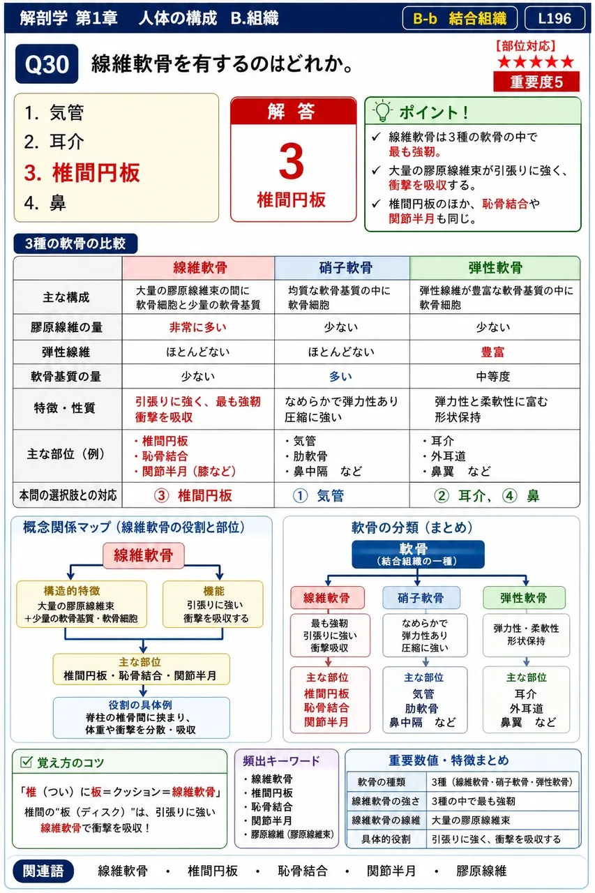 線維軟骨を有するのはどれか。 解説図