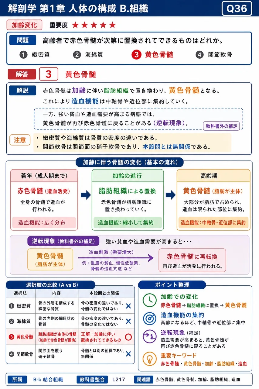 高齢者で赤色骨髄が次第に置換されてできるものはどれか。 解説図
