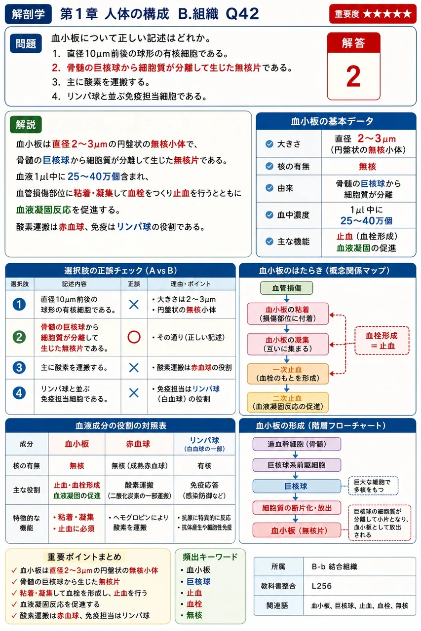 血小板について正しい記述はどれか。 解説図