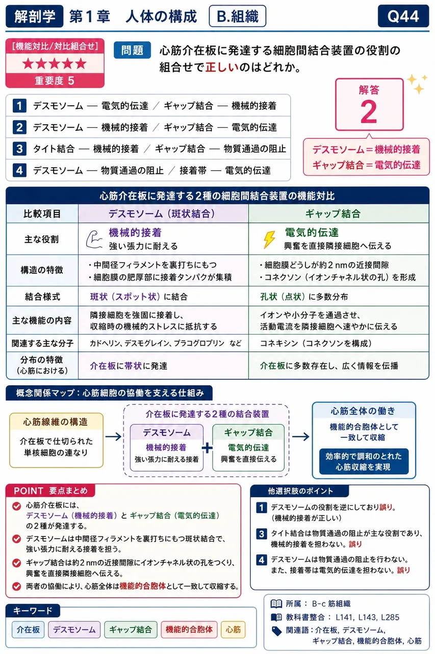 心筋介在板に発達する細胞間結合装置の役割の組合せで正しいのはどれか。 解説図