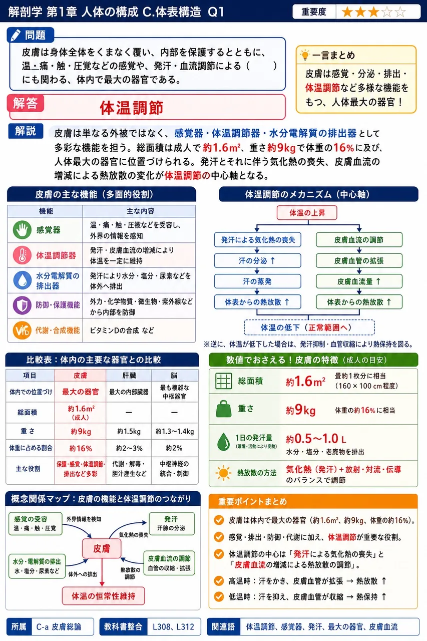 皮膚は身体全体をくまなく覆い、内部を保護するとともに、温・痛・触・圧覚などの感覚や、発汗・血流調節による( )にも関わる、体内で最大の器官である。 解説図