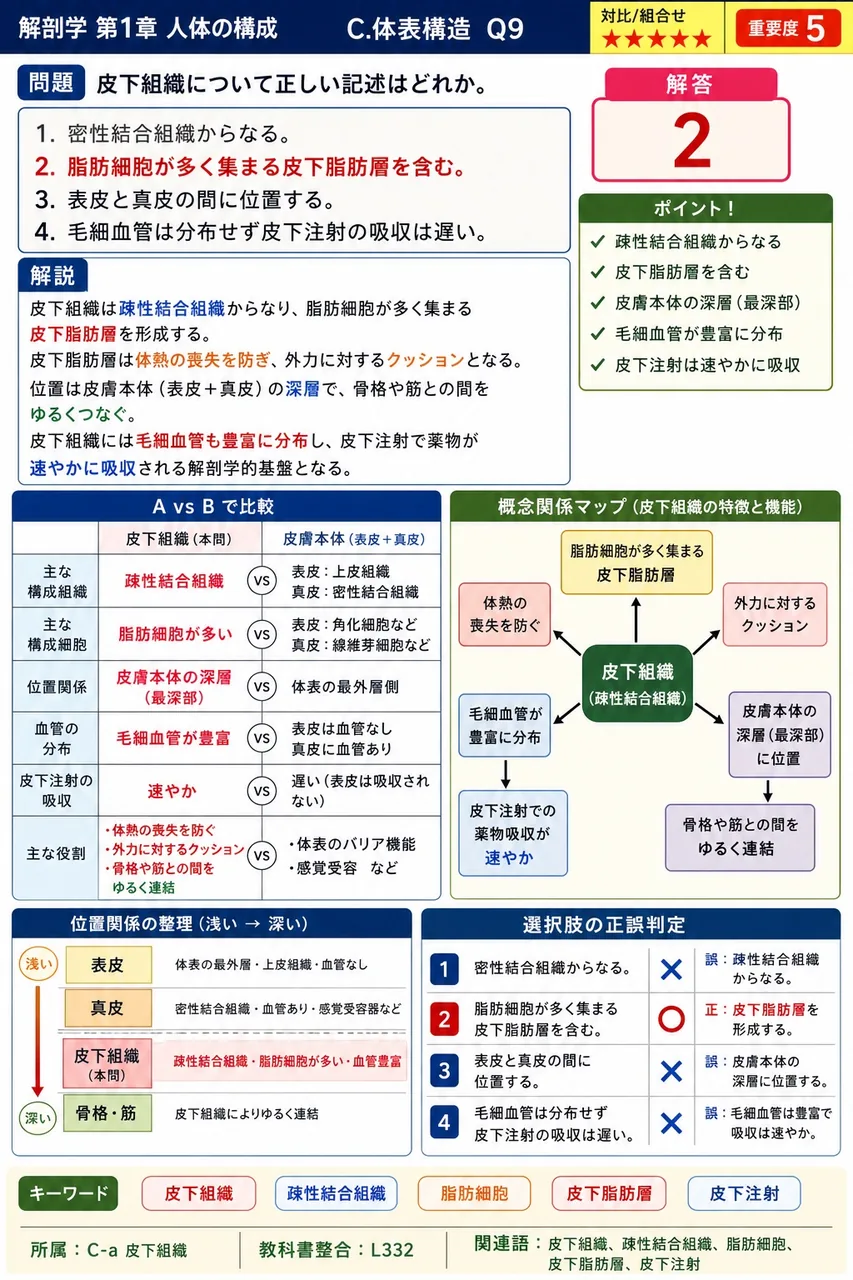 皮下組織について正しい記述はどれか。 解説図
