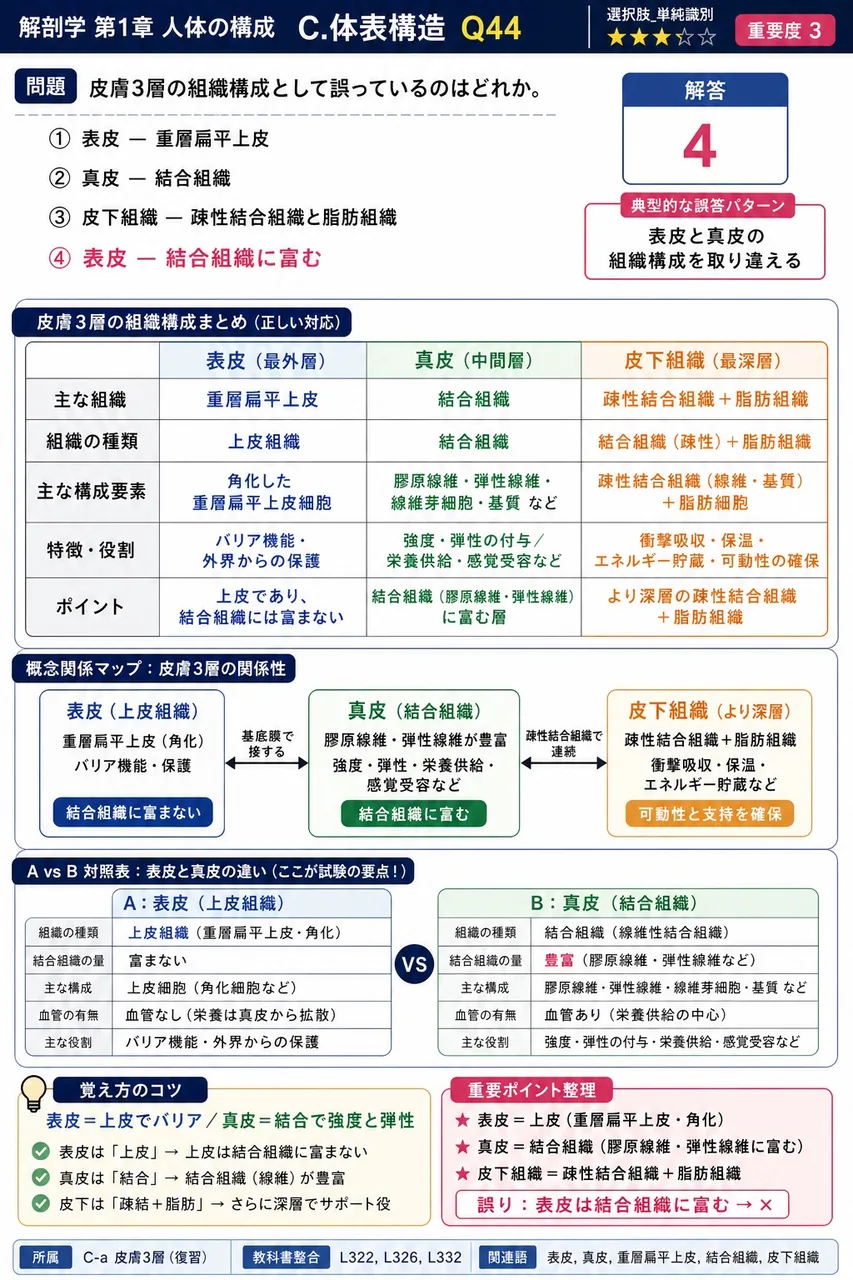 皮膚3層の組織構成として誤っているのはどれか。 解説図