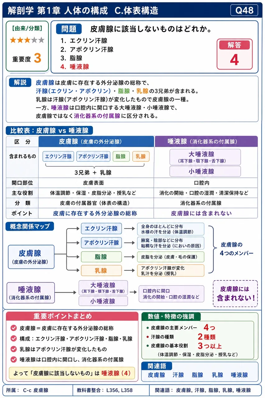 皮膚腺に該当しないものはどれか。 解説図