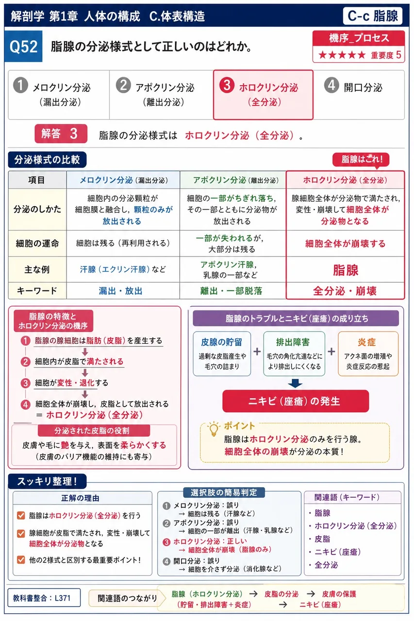 脂腺の分泌様式として正しいのはどれか。 解説図
