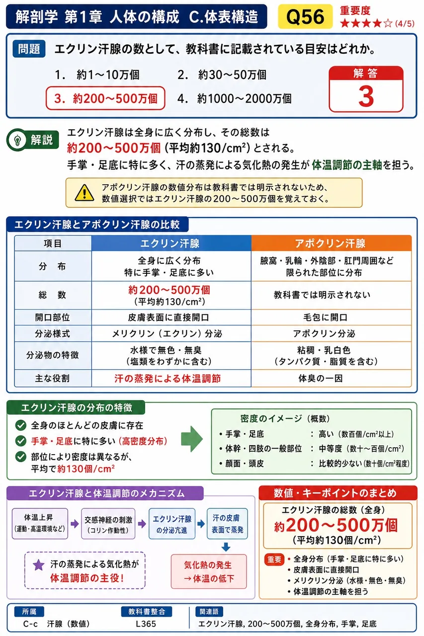 エクリン汗腺の数として、教科書に記載されている目安はどれか。 解説図