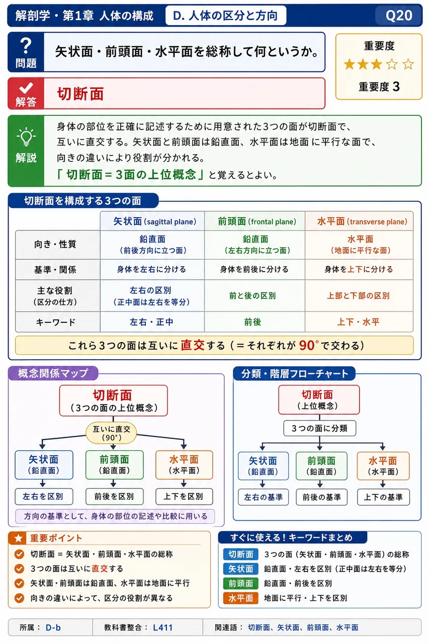 矢状面・前頭面・水平面を総称して何というか。 解説図