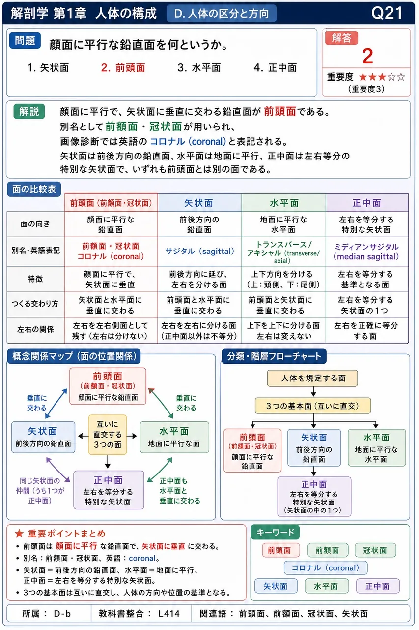 顔面に平行な鉛直面を何というか。 解説図