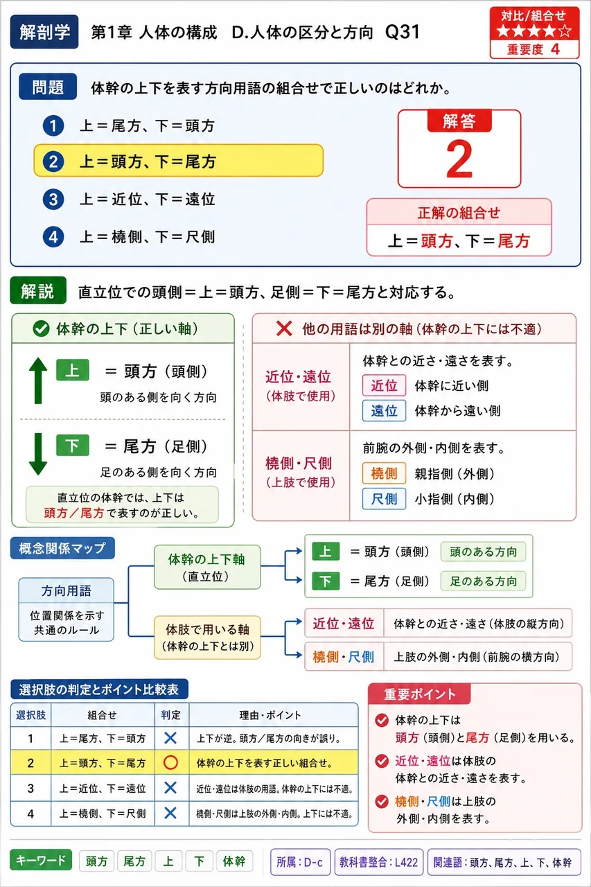 体幹の上下を表す方向用語の組合せで正しいのはどれか。 解説図