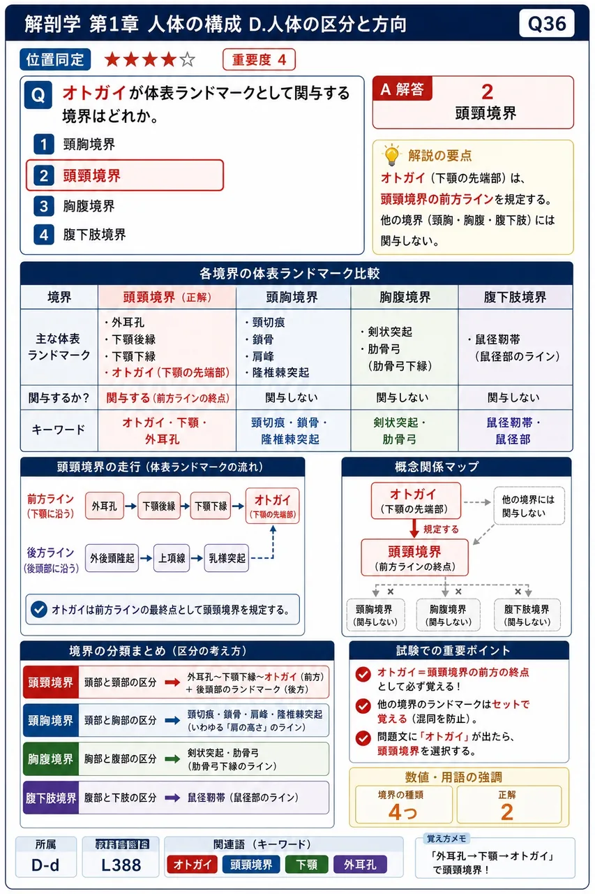 オトガイが体表ランドマークとして関与する境界はどれか。 解説図