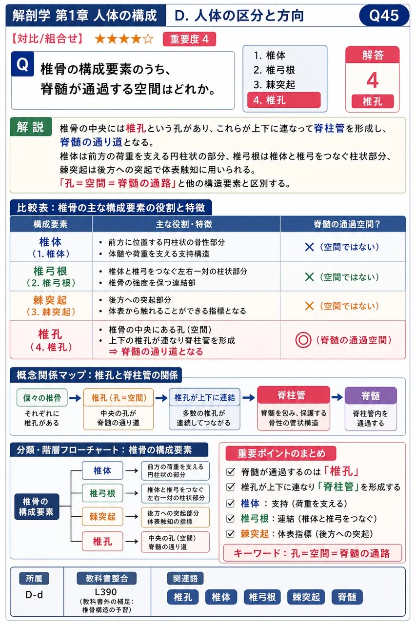 椎骨の構成要素のうち、脊髄が通過する空間はどれか。 解説図
