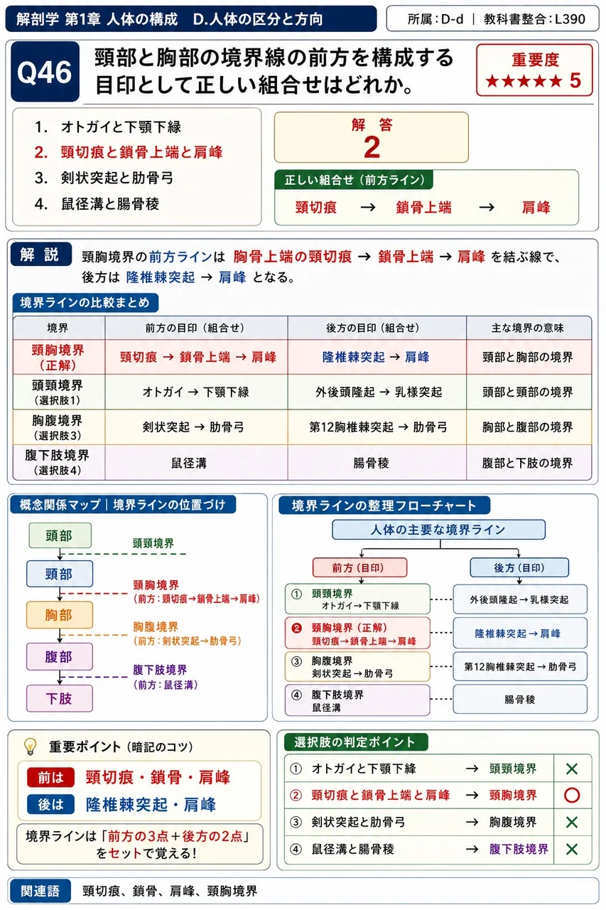 頸部と胸部の境界線の前方を構成する目印として正しい組合せはどれか。 解説図