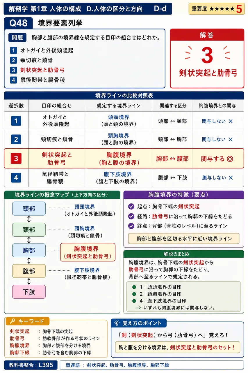 胸部と腹部の境界線を規定する目印の組合せはどれか。 解説図
