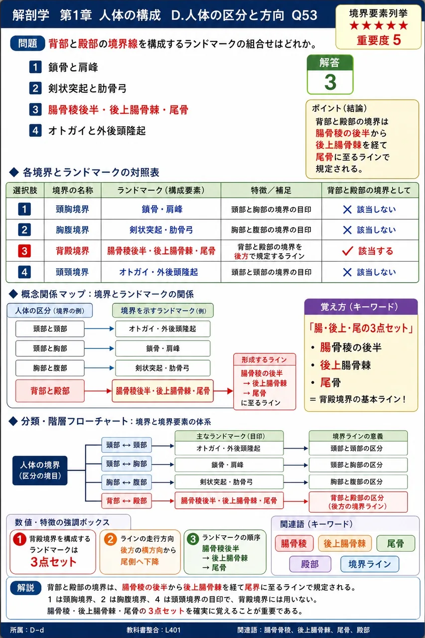背部と殿部の境界線を構成するランドマークの組合せはどれか。 解説図