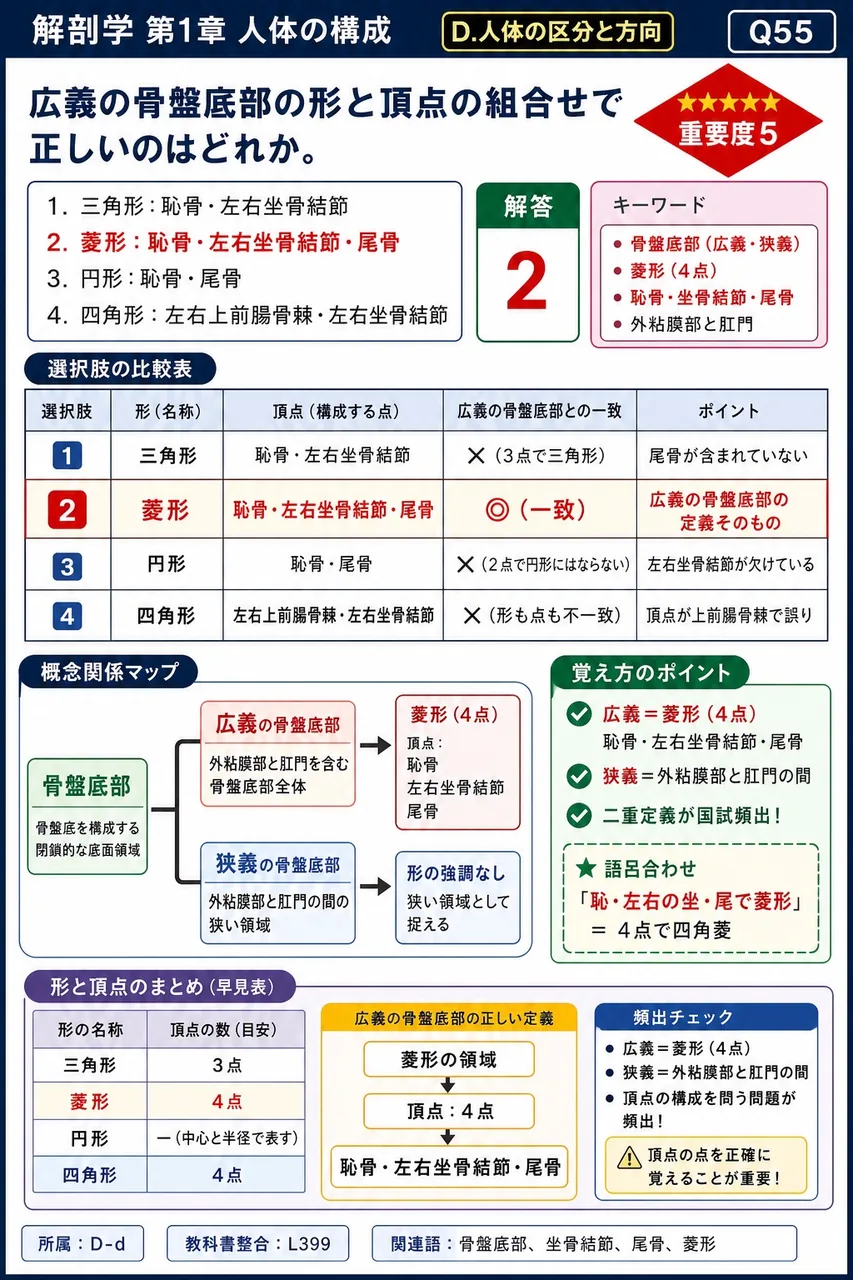 広義の会陰の形と頂点の組合せで正しいのはどれか。 解説図