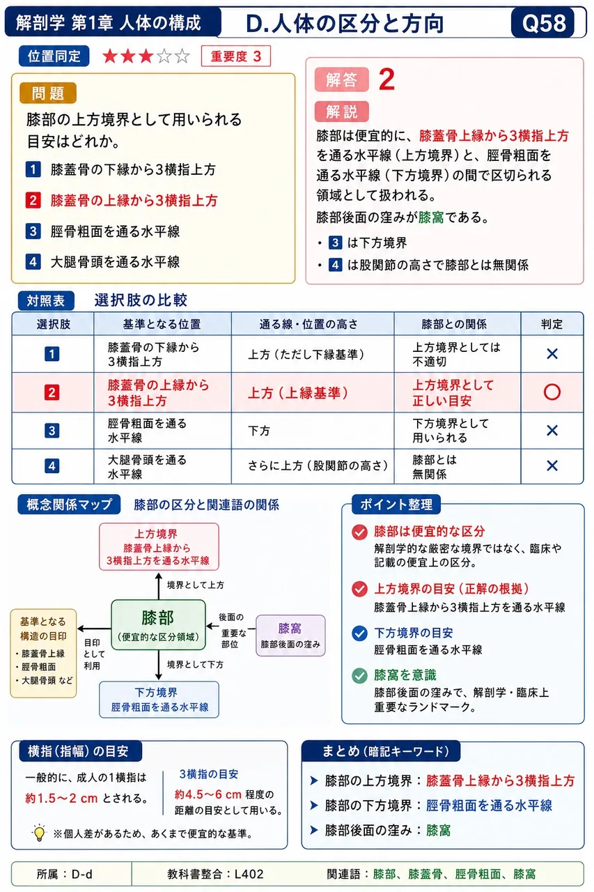膝部の上方境界として用いられる目安はどれか。 解説図