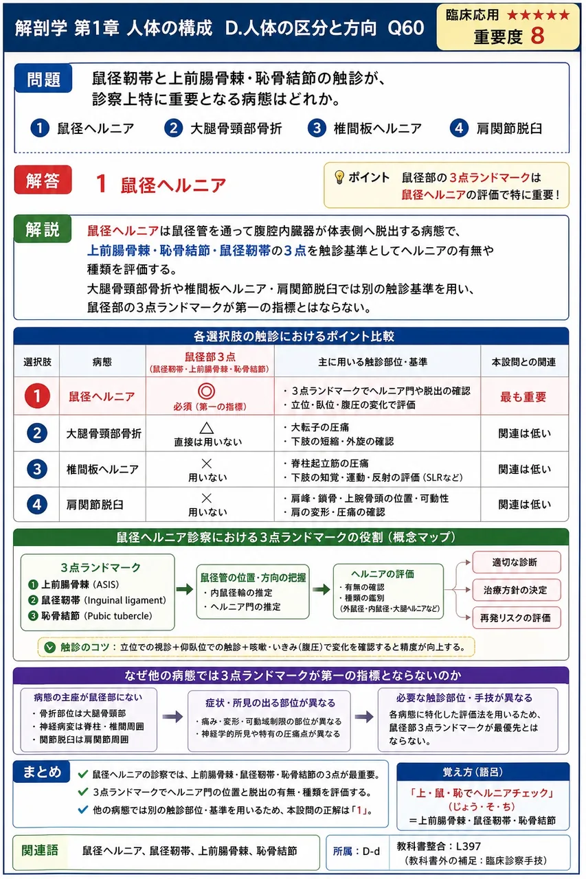 鼠径靭帯と上前腸骨棘・恥骨結節の触診が、診察上特に重要となる病態はどれか。 解説図