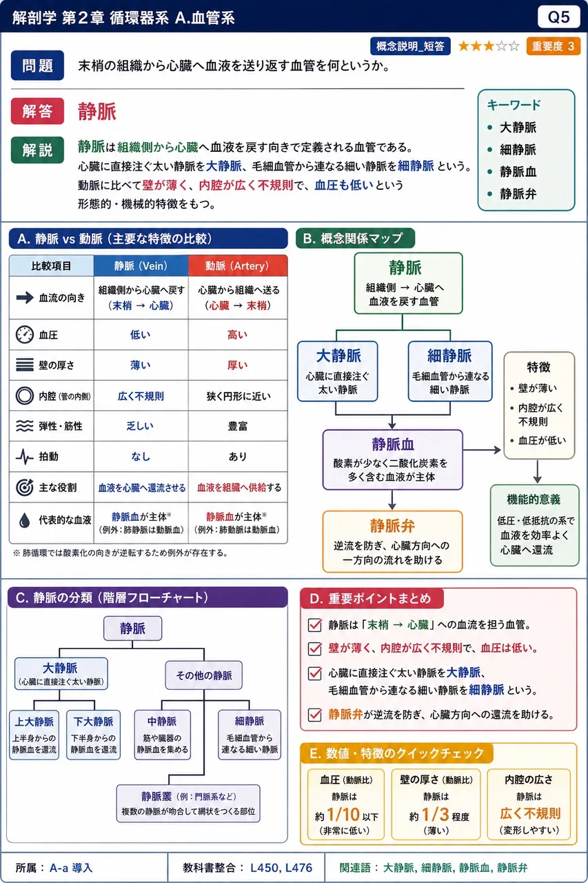 末梢の組織から心臓へ血液を送り返す血管を何というか。 解説図