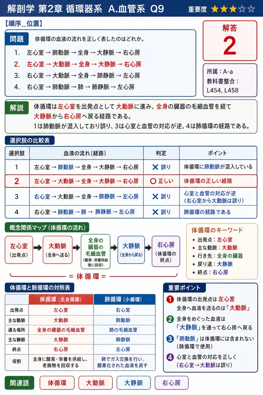 体循環の血液の流れを正しく表したのはどれか。 解説図