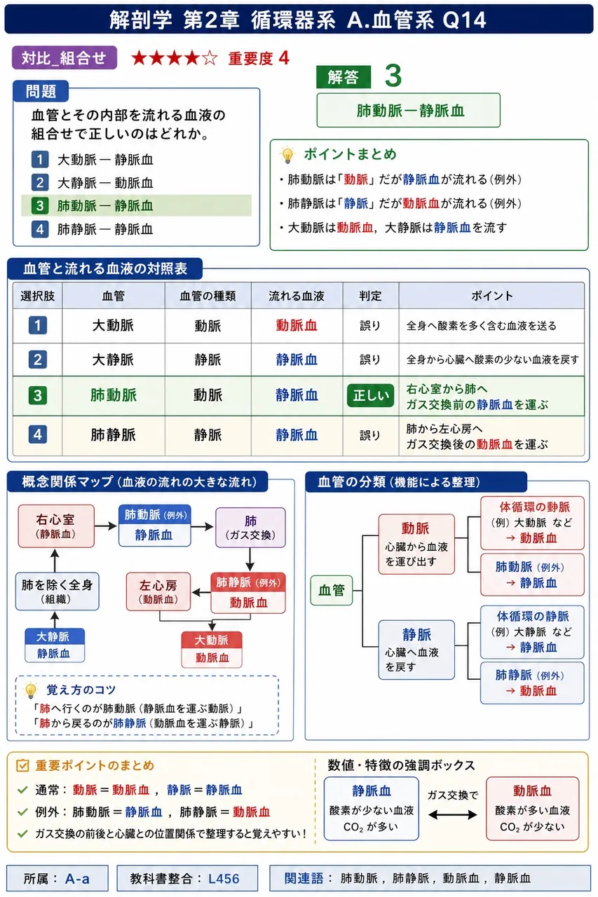 血管とその内部を流れる血液の組合せで正しいのはどれか。 解説図