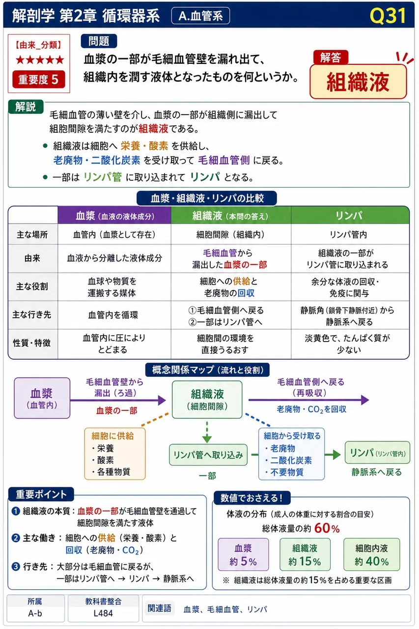 血漿の一部が毛細血管壁を漏れ出て、組織内を潤す液体となったものを何というか。 解説図