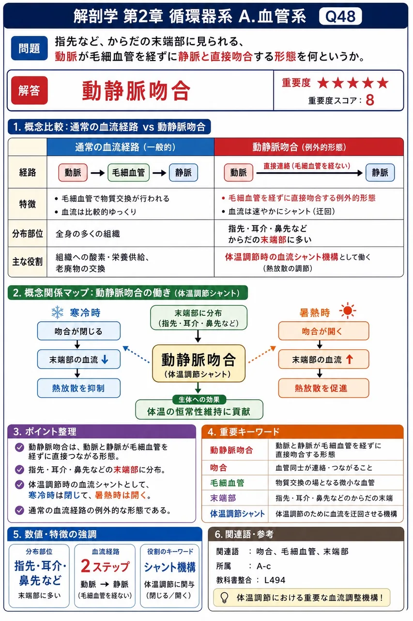 指先など、からだの末端部に見られる、動脈が毛細血管を経ずに静脈と直接吻合する形態を何というか。 解説図