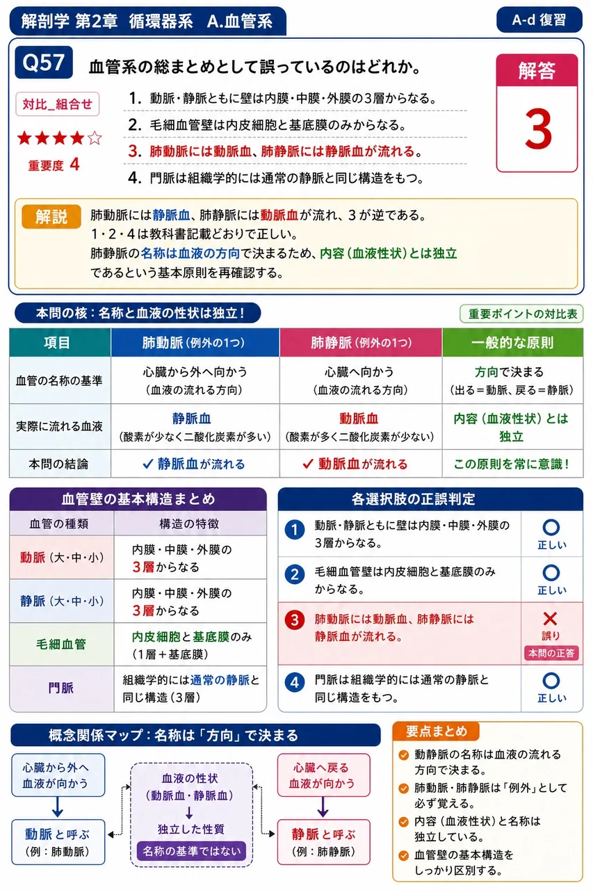 血管系の総まとめとして誤っているのはどれか。 解説図