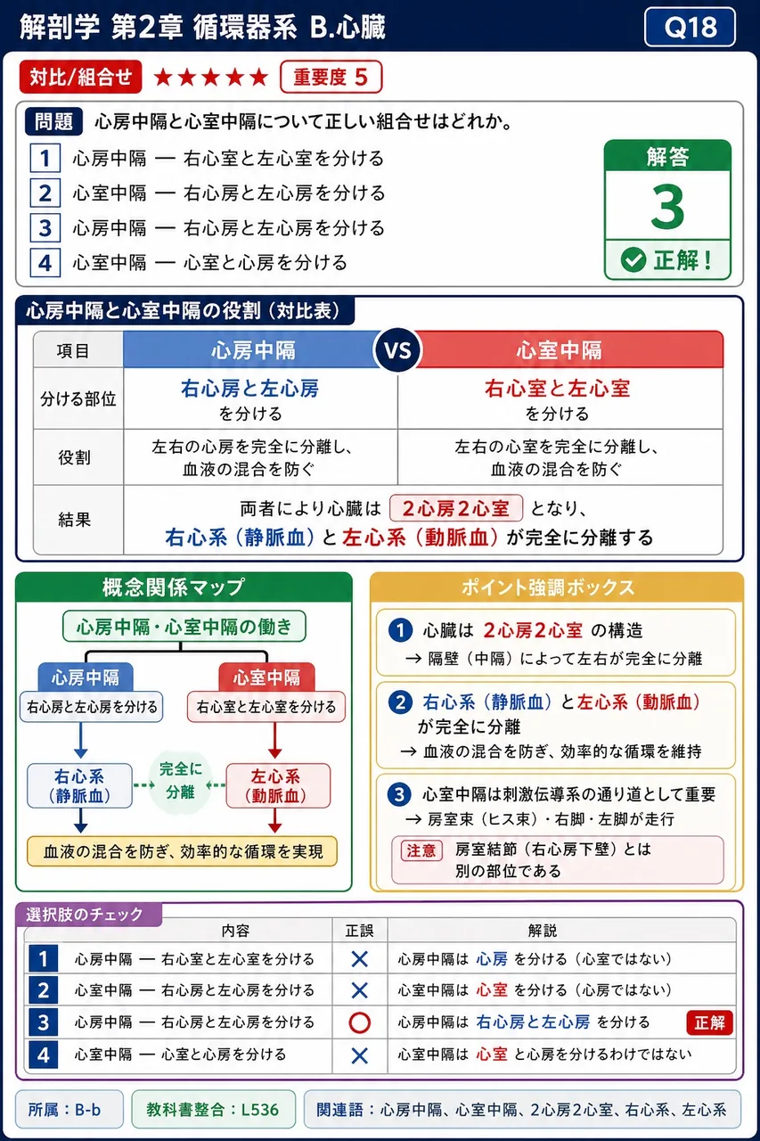 心房中隔と心室中隔について正しい組合せはどれか。 解説図