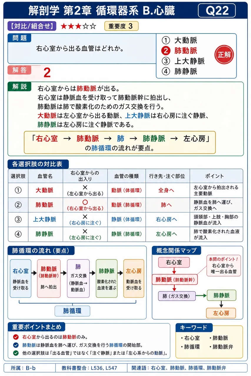 右心室から出る血管はどれか。 解説図