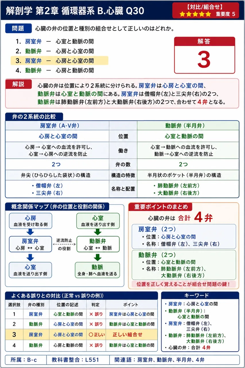 心臓の弁の位置と種別の組合せとして正しいのはどれか。 解説図