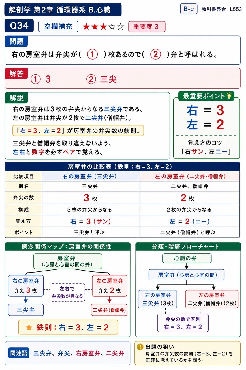 右の房室弁は弁尖が( ① )枚あるので( ② )弁と呼ばれる。 解説図