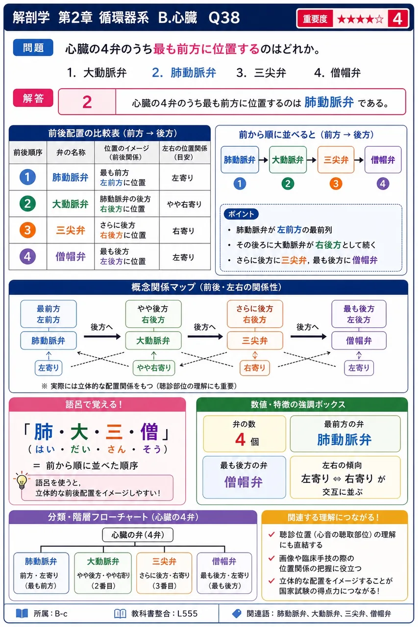 心臓の4弁のうち最も前方に位置するのはどれか。 解説図