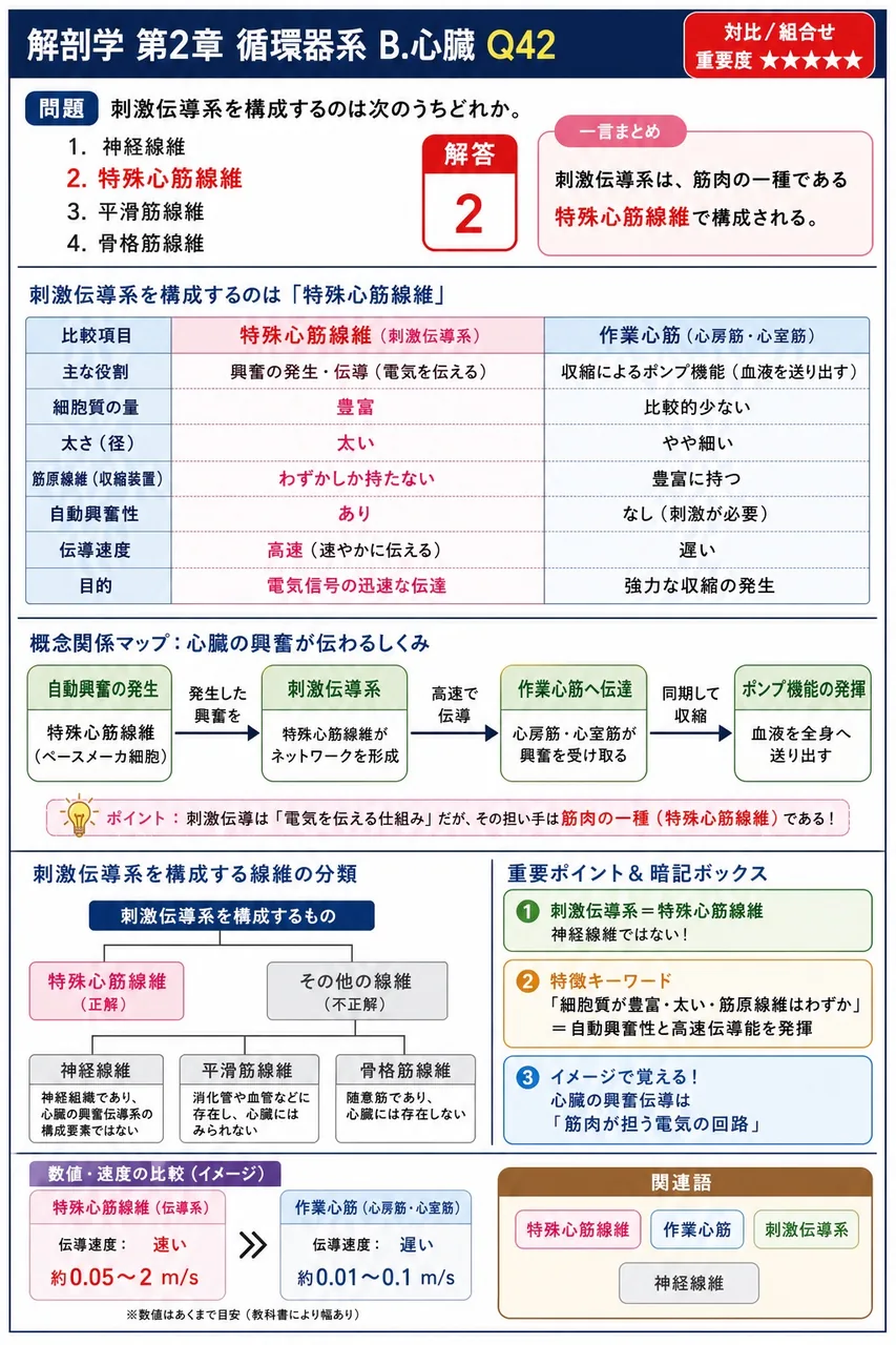 刺激伝導系を構成するのは次のうちどれか。 解説図