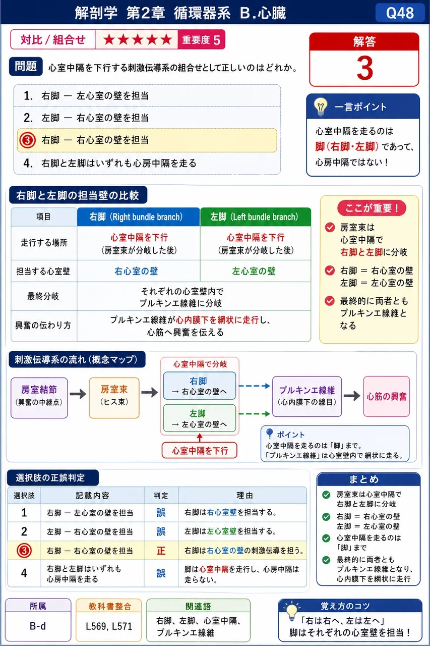 心室中隔を下行する刺激伝導系の組合せとして正しいのはどれか。 解説図