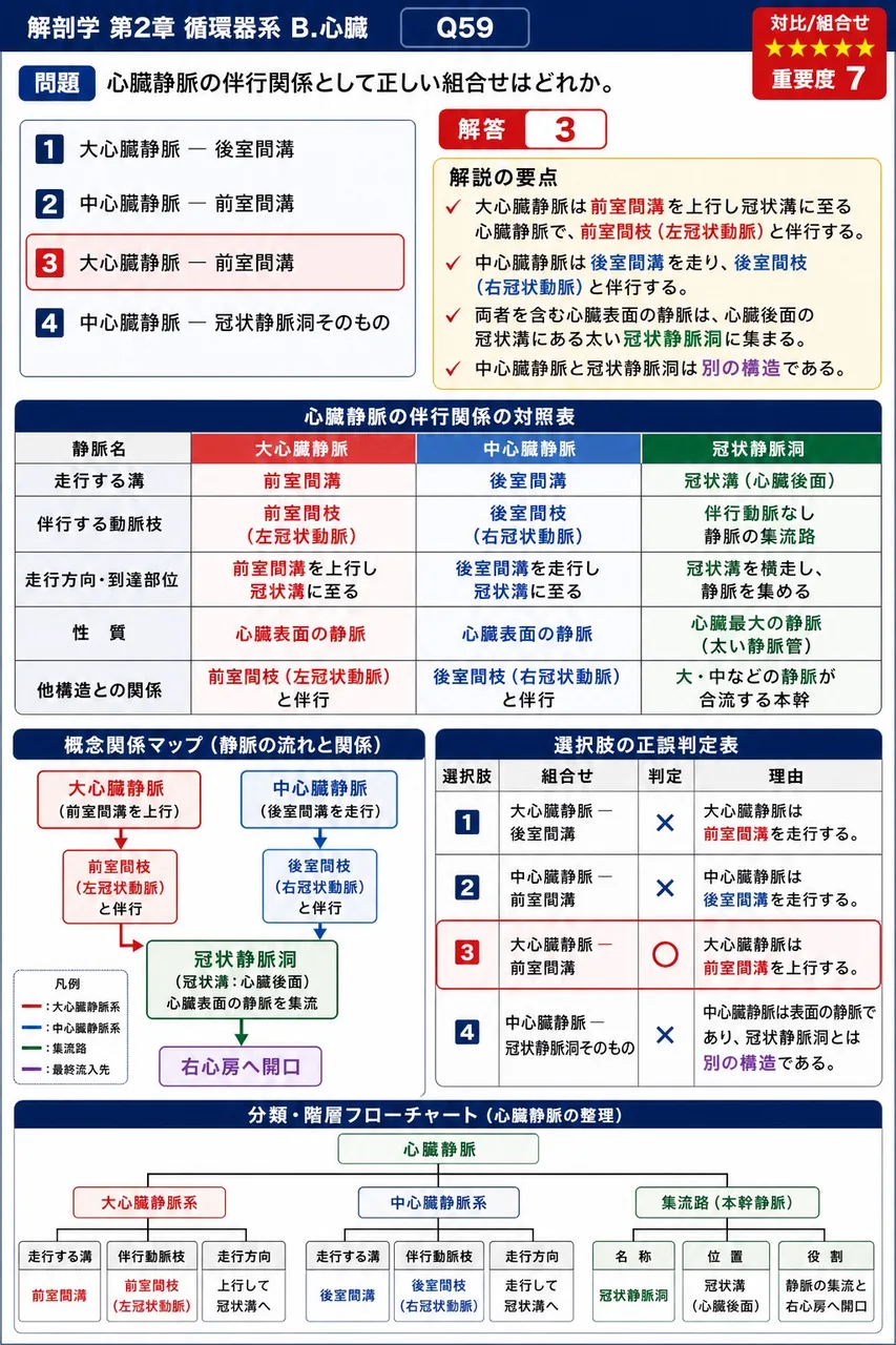 心臓を養う左右の冠状動脈は、大動脈のどの部位から起始するか。 解説図