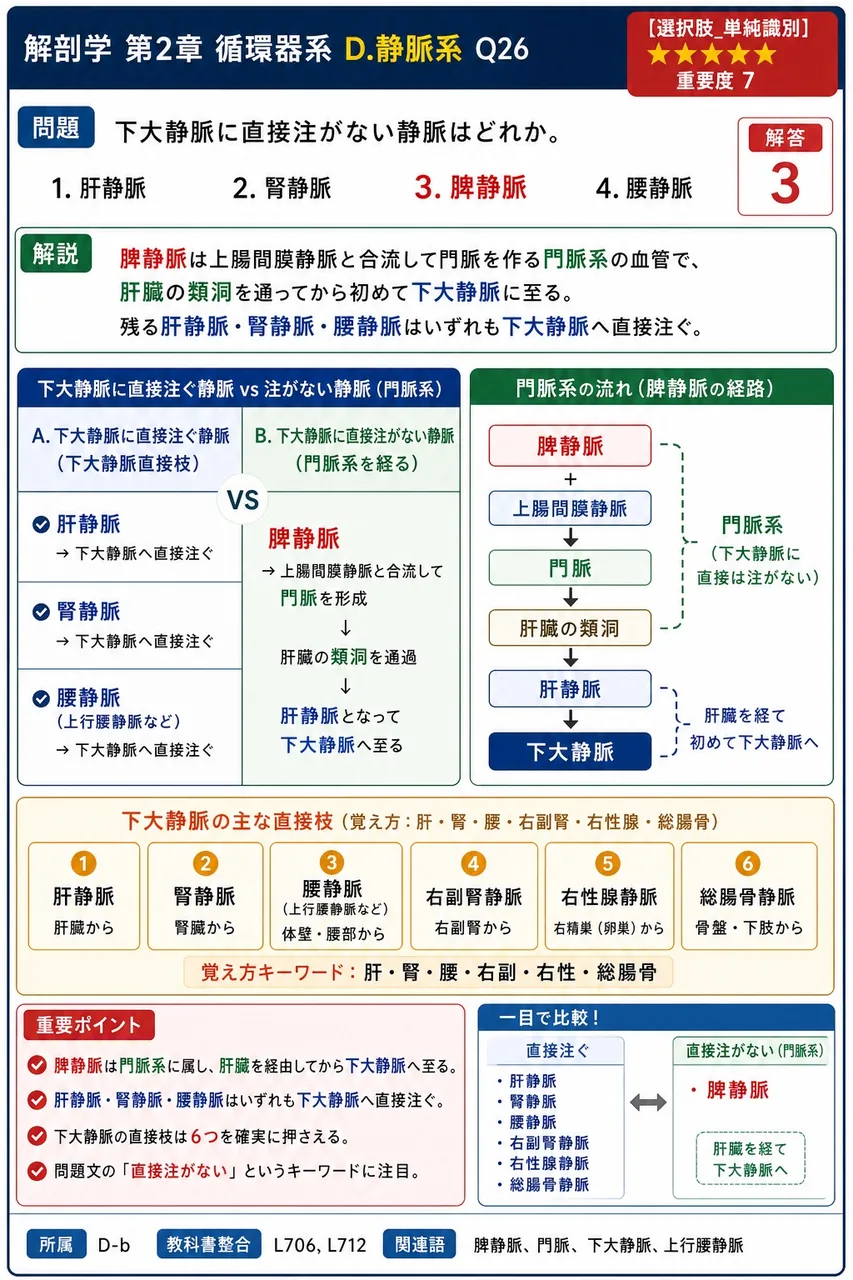 下大静脈に直接注がない静脈はどれか。 解説図